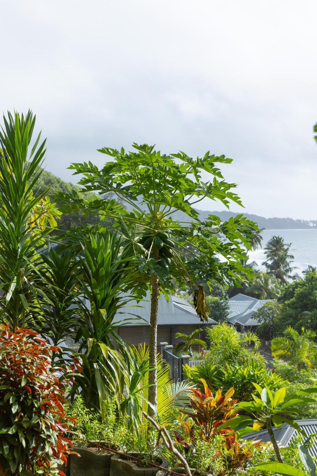 Paradise Chalets Yoga & Wellness ทาคามาคา ภายนอก รูปภาพ