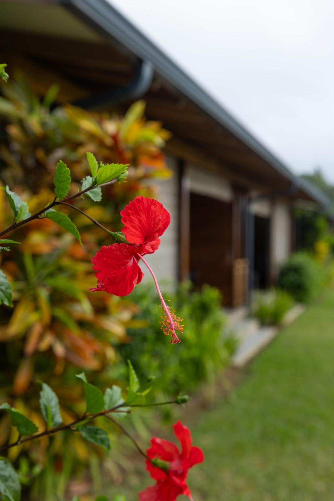 Paradise Chalets Yoga & Wellness ทาคามาคา ภายนอก รูปภาพ