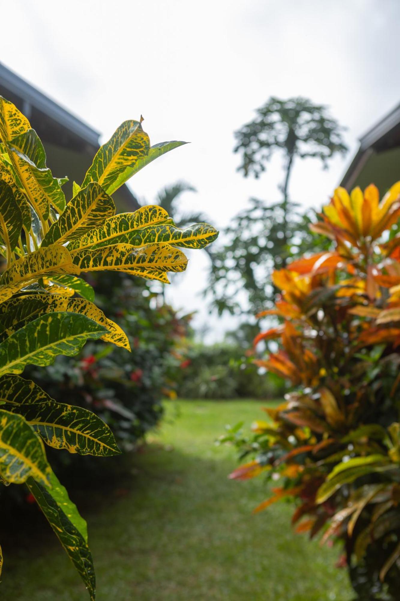 Paradise Chalets Yoga & Wellness ทาคามาคา ภายนอก รูปภาพ
